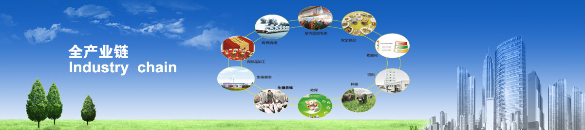 J9国际站备用【唯一】官方网站