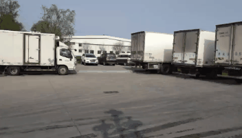 7.gif 7.gif